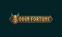 Odin Fortune Logo