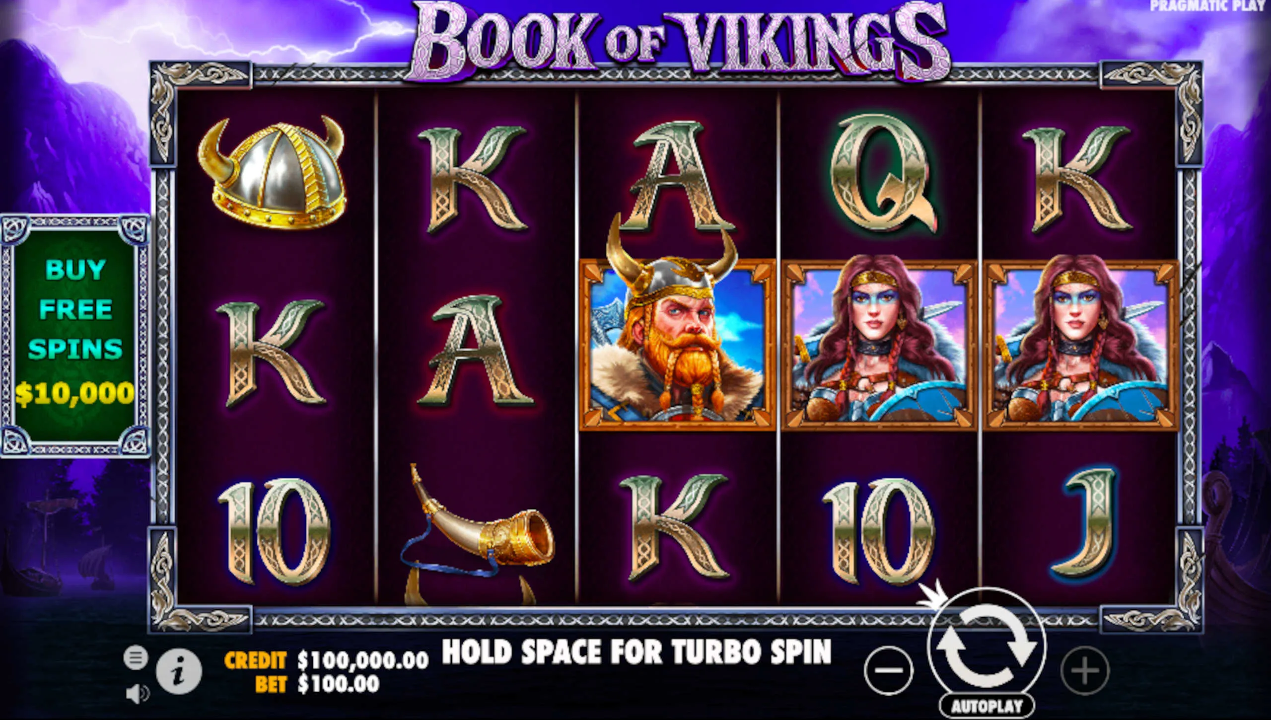 Book Of Vikings