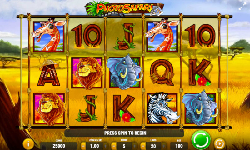 Photo Safari Slot