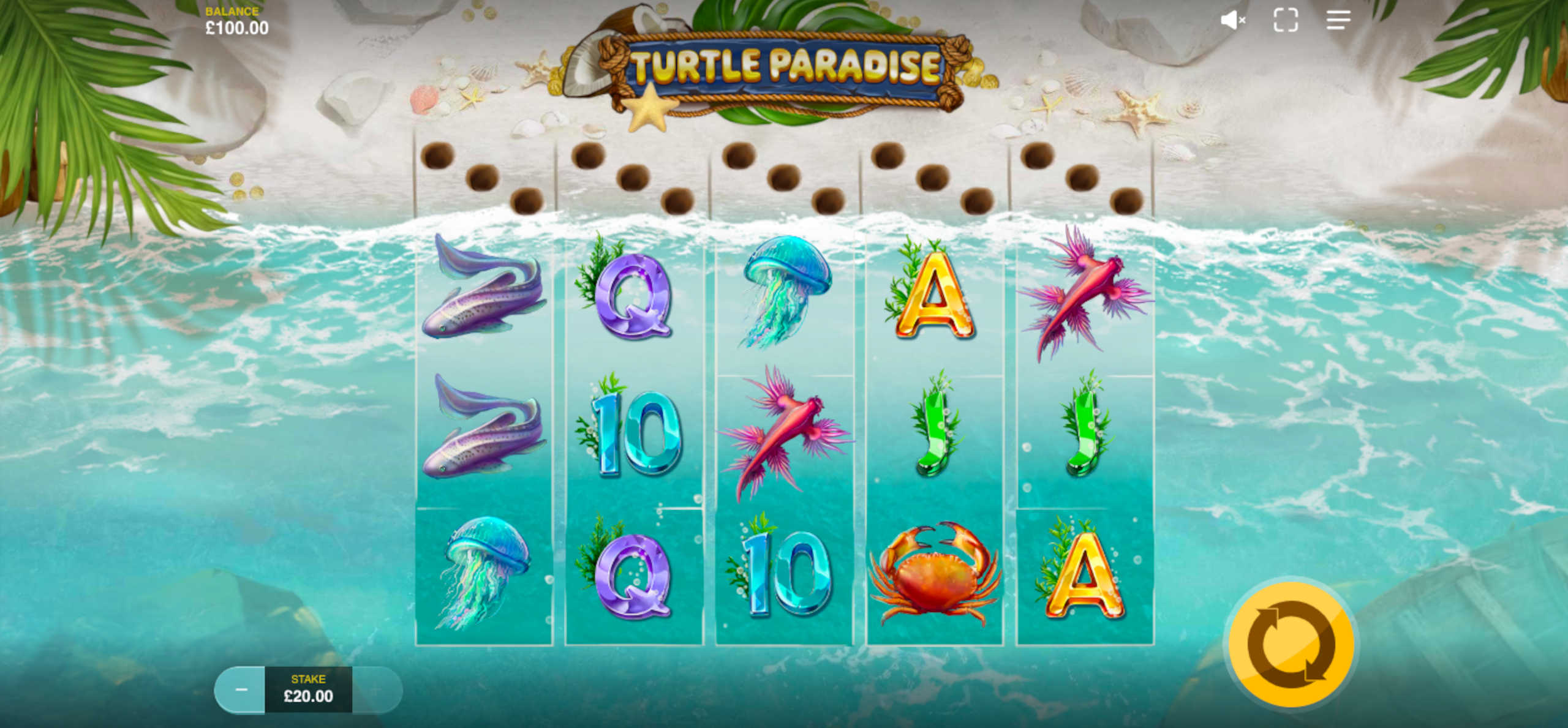 Turtle Paradise Slot