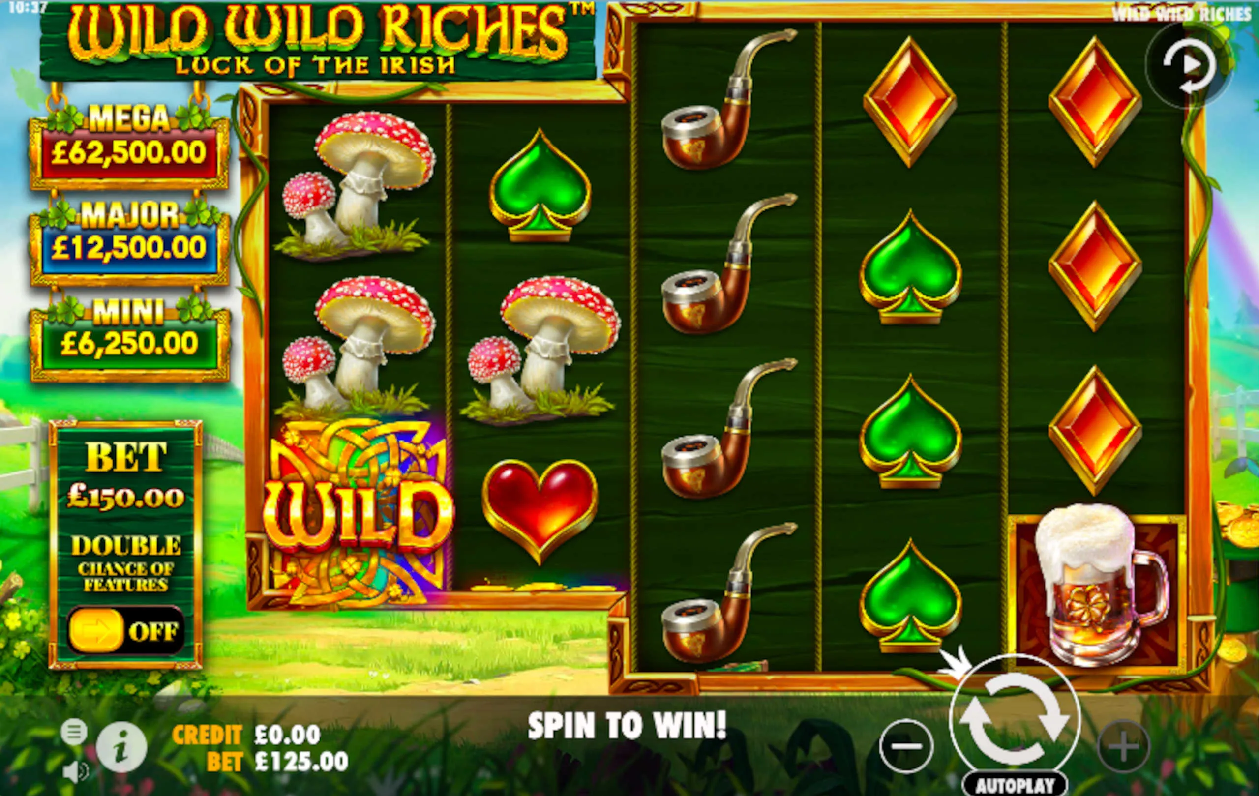 Wild Wild Riches